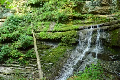 DSC_2780 (Large).JPG